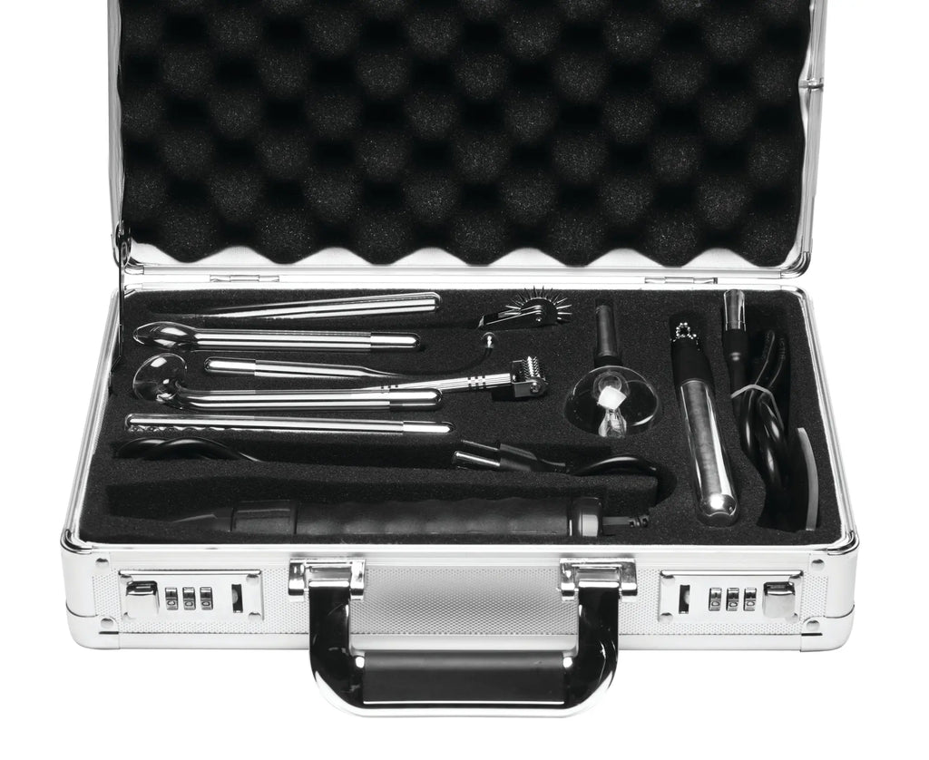 Zeus Electrosex Ultimate Edition Violet Wand set in a silver carrying case with black foam-lined compartments.