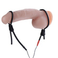 Zeus Vigor II electro-stimulator: two black adjustable silicone loops around a realistic flesh-tone penile model.