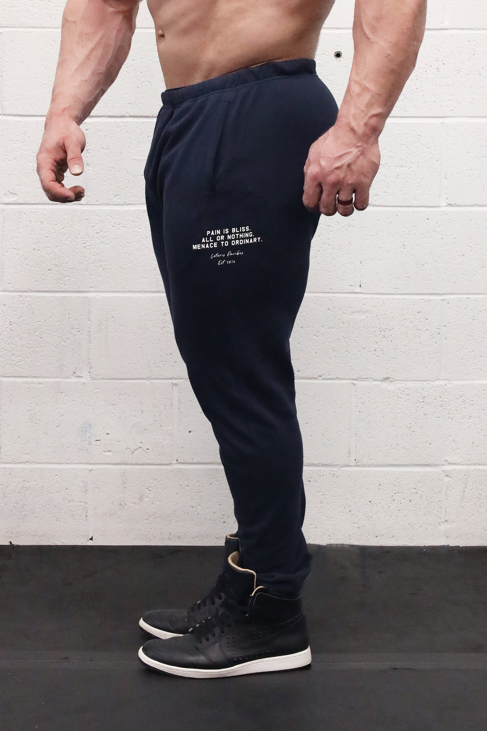 All Or Nothing French Terry Joggers - Navy