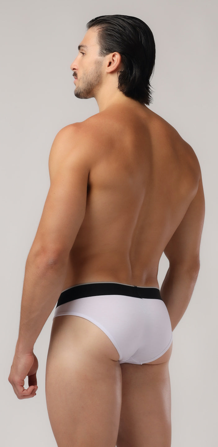 BASIC BRIEFS - DealByEthan.gay