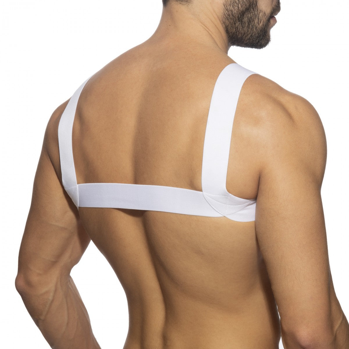 AD BASIC HARNESS - DealByEthan.gay loves Addicted