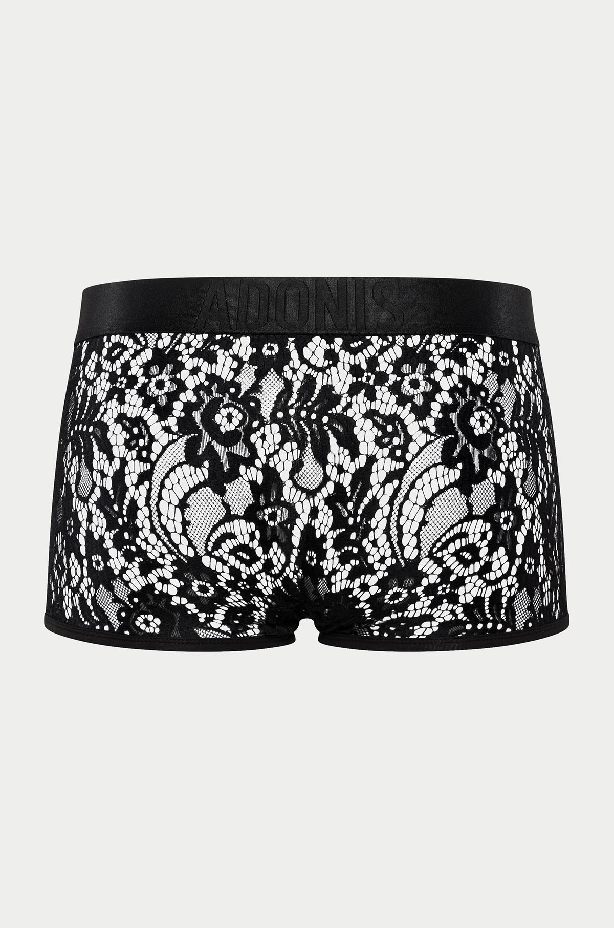 Limited Edition Sheer Lace Boxer Trunk - DealByEthan.gay