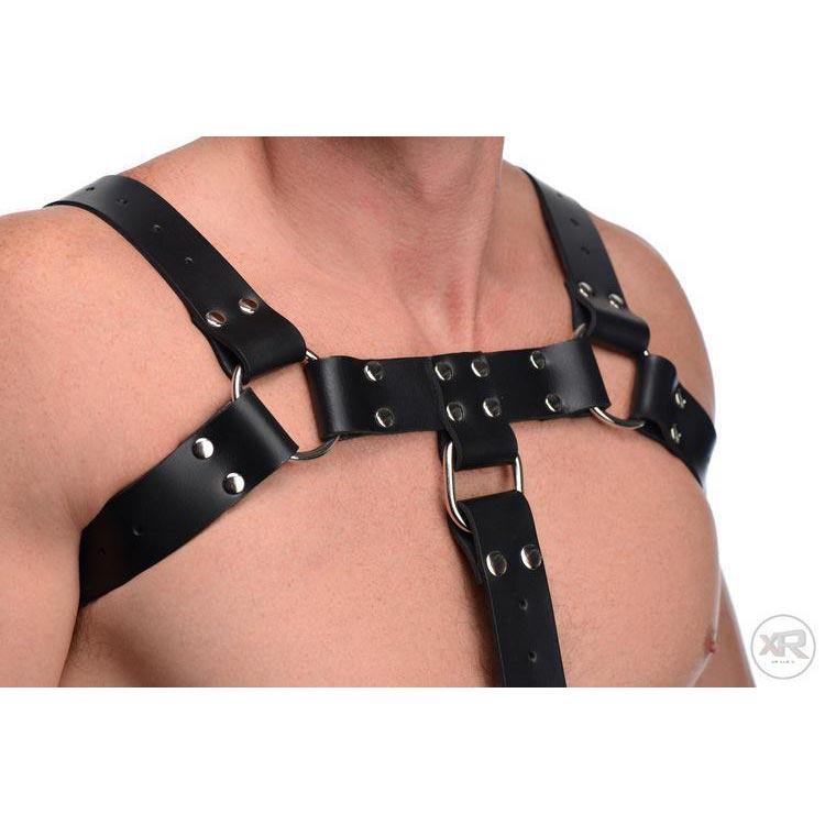 English Bull Dog Harness with Cock Strap - DealByEthan.gay
