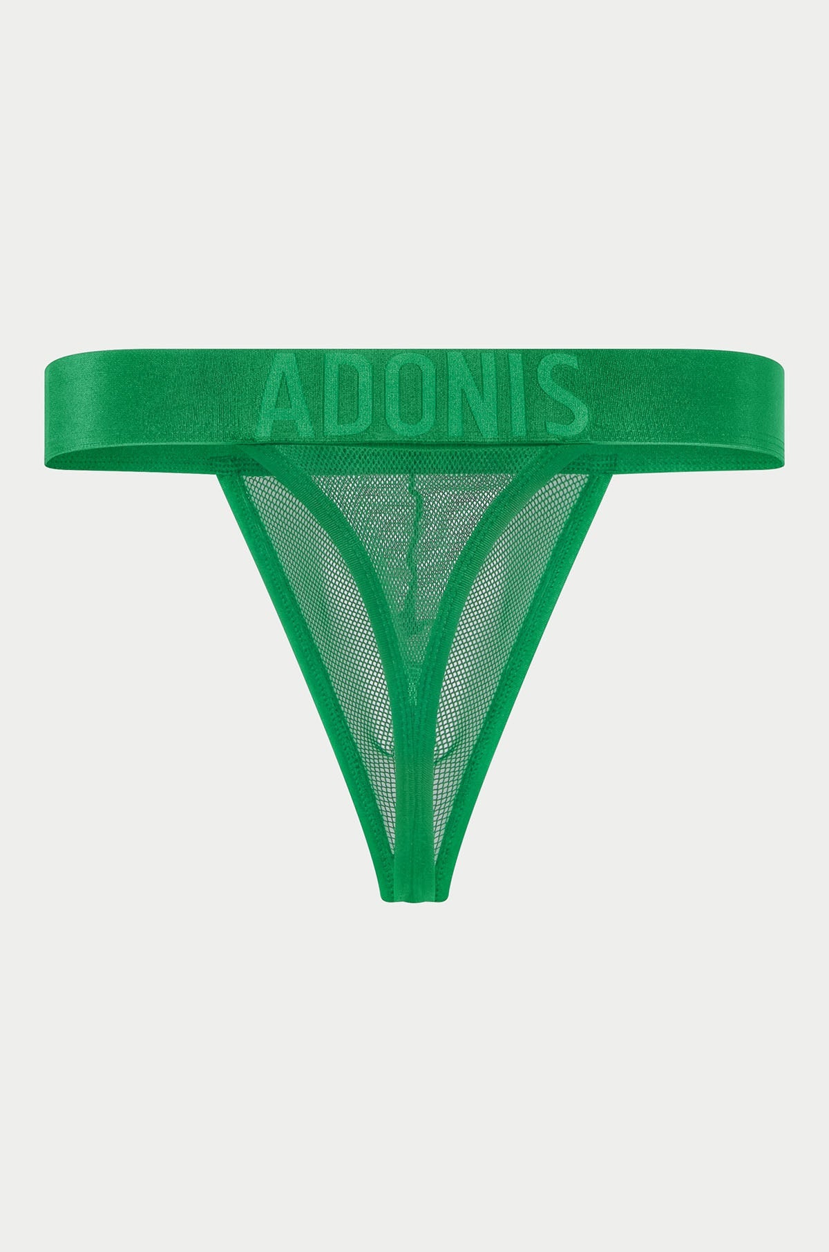 Luxe Mesh Green Thong - DealByEthan.gay