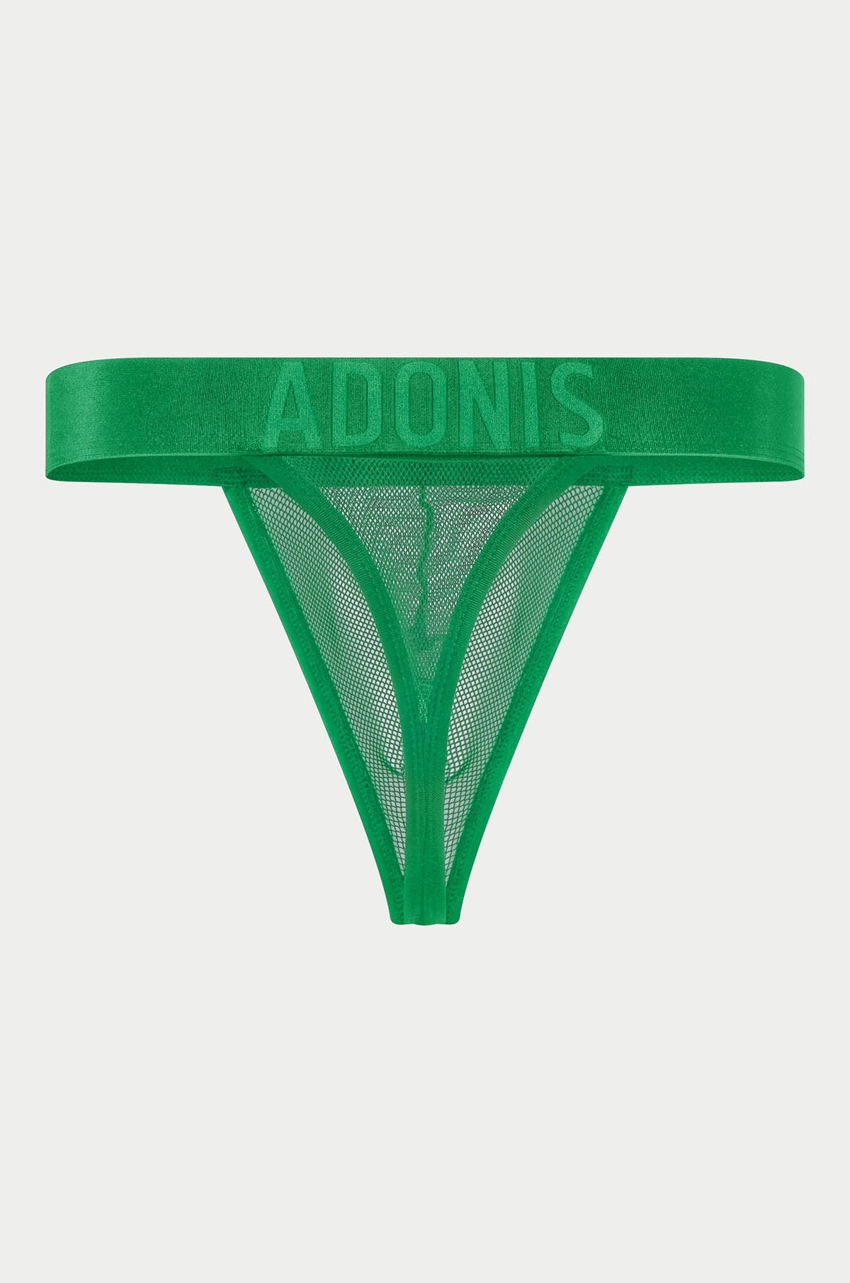 Luxe Mesh Green Thong - DealByEthan.gay