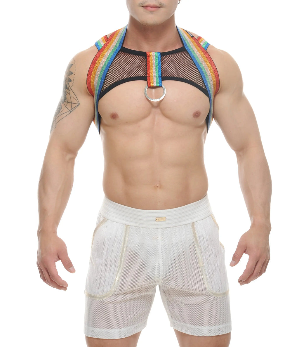 BOYD PRIDE HARNESS - DealByEthan.gay loves STUD Wear It Proud