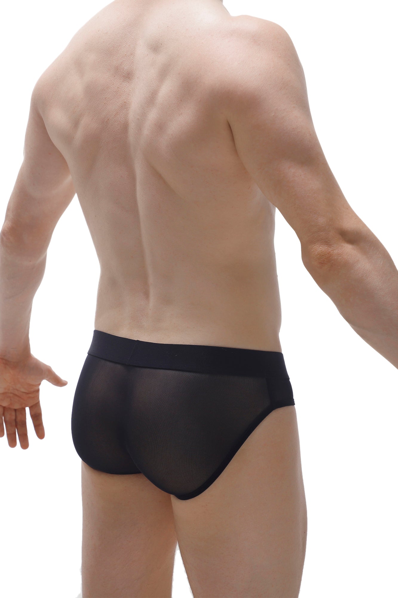 Brief Maidon Net Black - DealByEthan.gay loves PetitQ