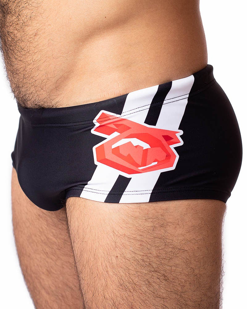 CANNONBALL SUNGA - DealByEthan.gay loves Nasty Pig