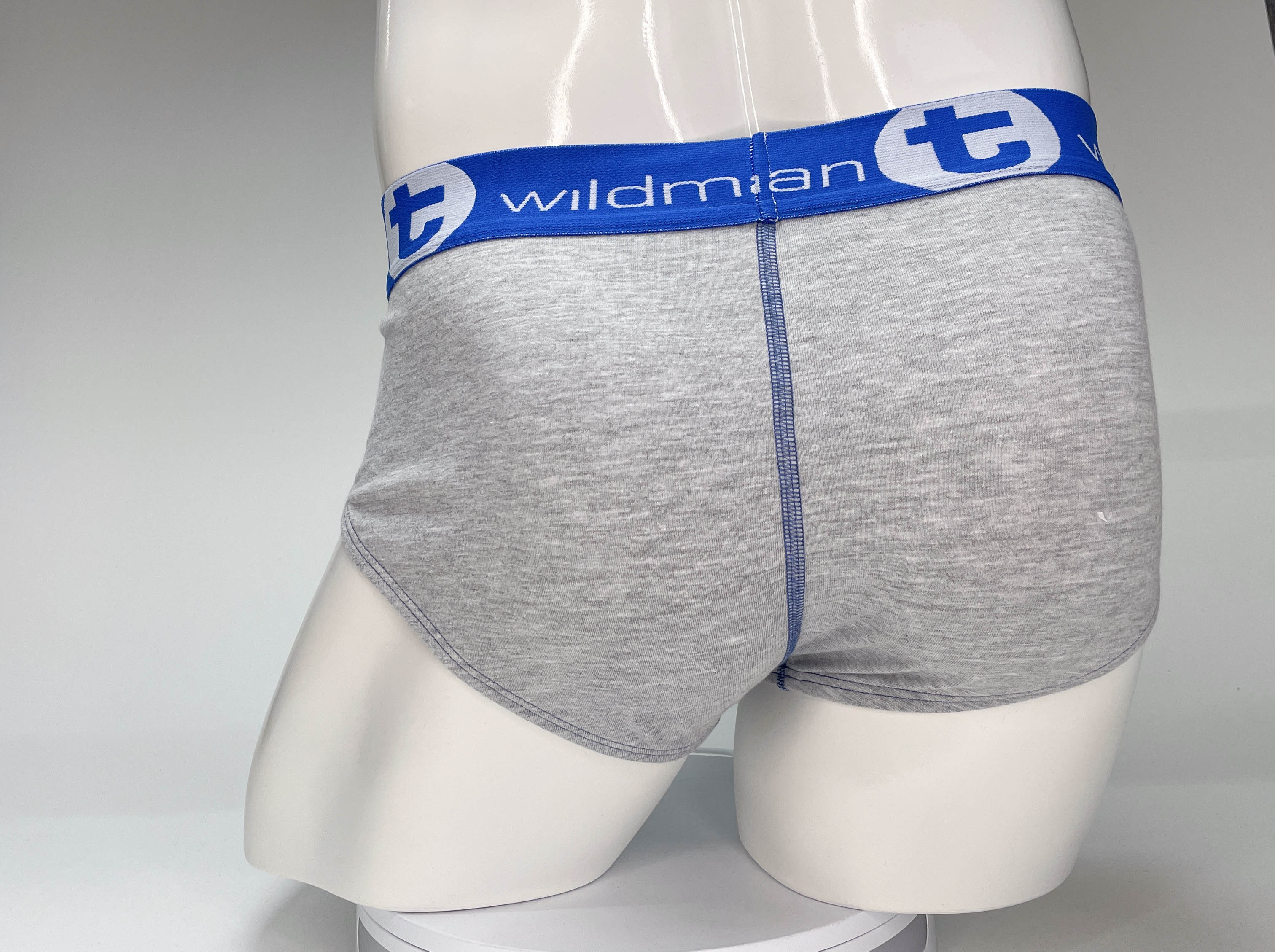 WildmanT Big Boy Pouch Cotton Brief Gray and Blue - DealByEthan.gay