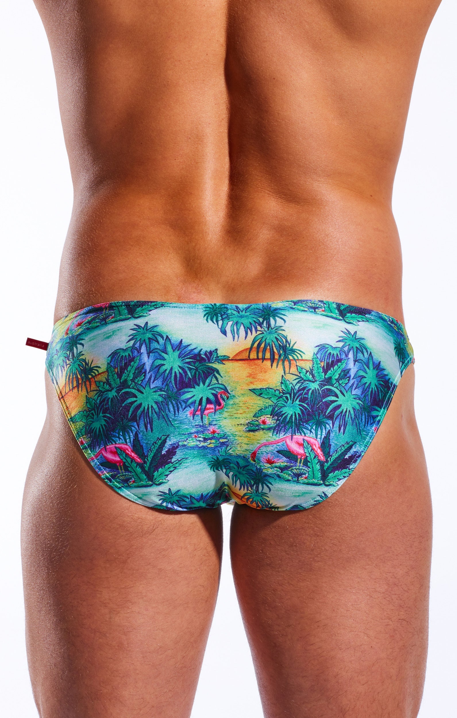 CX02PR Swim Brief - DealByEthan.gay loves Cocksox