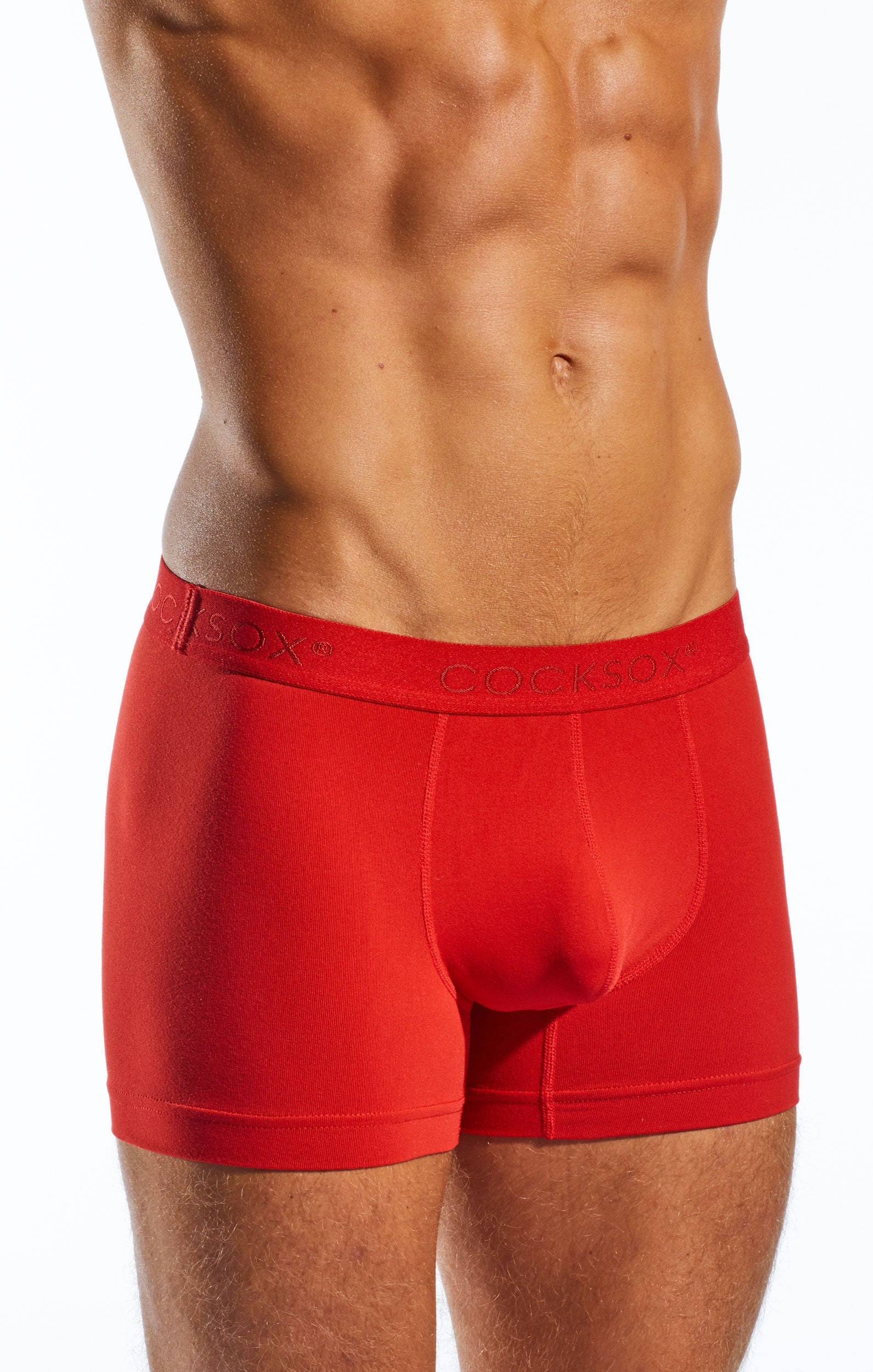 CX12 Boxer - DealByEthan.gay loves Cocksox