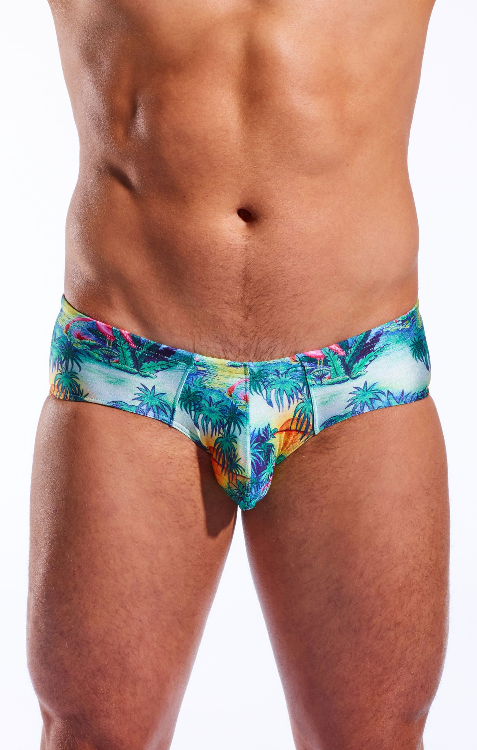 CX79PR Boy Leg Swim Brief - DealByEthan.gay loves Cocksox