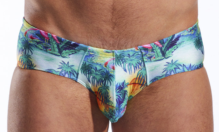 CX79PR Boy Leg Swim Brief - DealByEthan.gay loves Cocksox