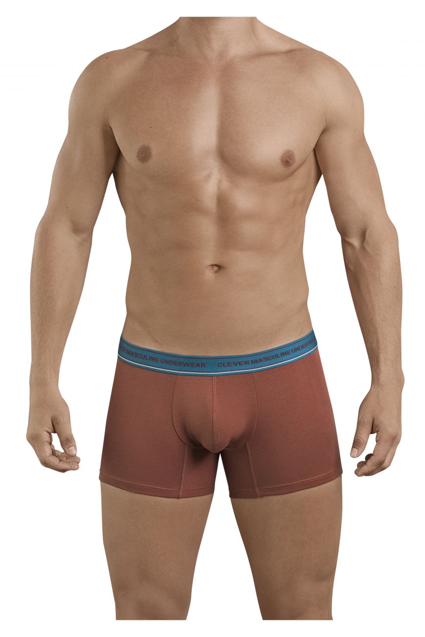 Clever 2394 Attractive Boxer Briefs Color Brown - DealByEthan.gay loves Clever
