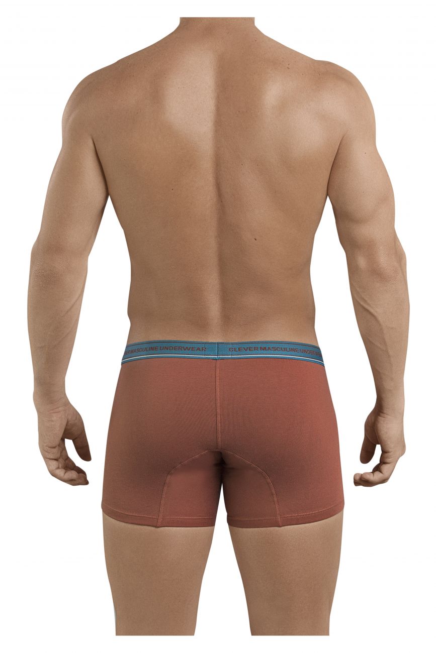 Clever 2394 Attractive Boxer Briefs Color Brown - DealByEthan.gay loves Clever