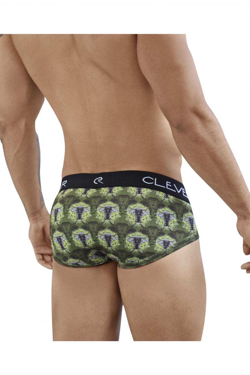 Braguita Clever 5385 Artemisia Color Verde