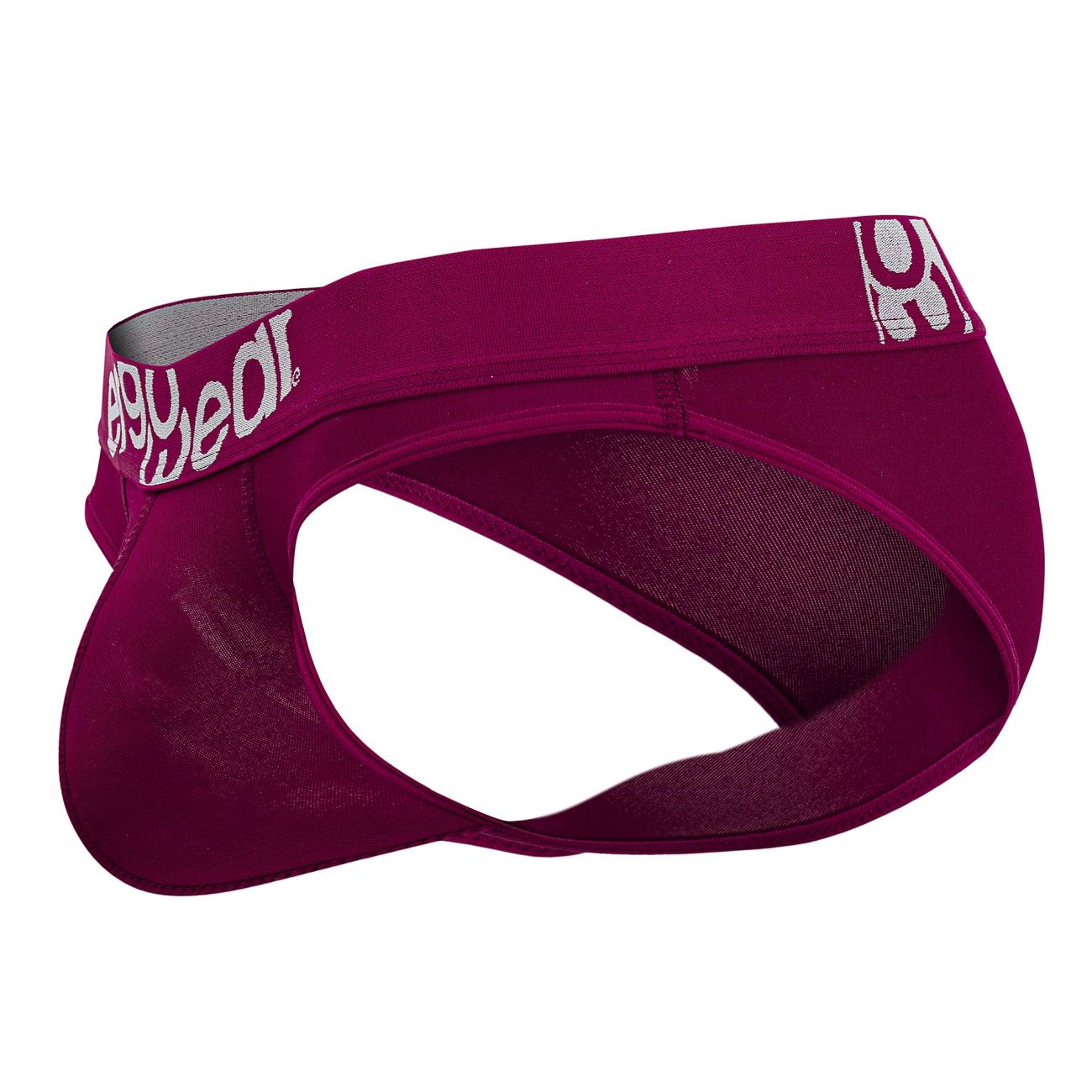 ErgoWear EW1500 HIP Bikini Color Burgundy - DealByEthan.gay loves ErgoWear
