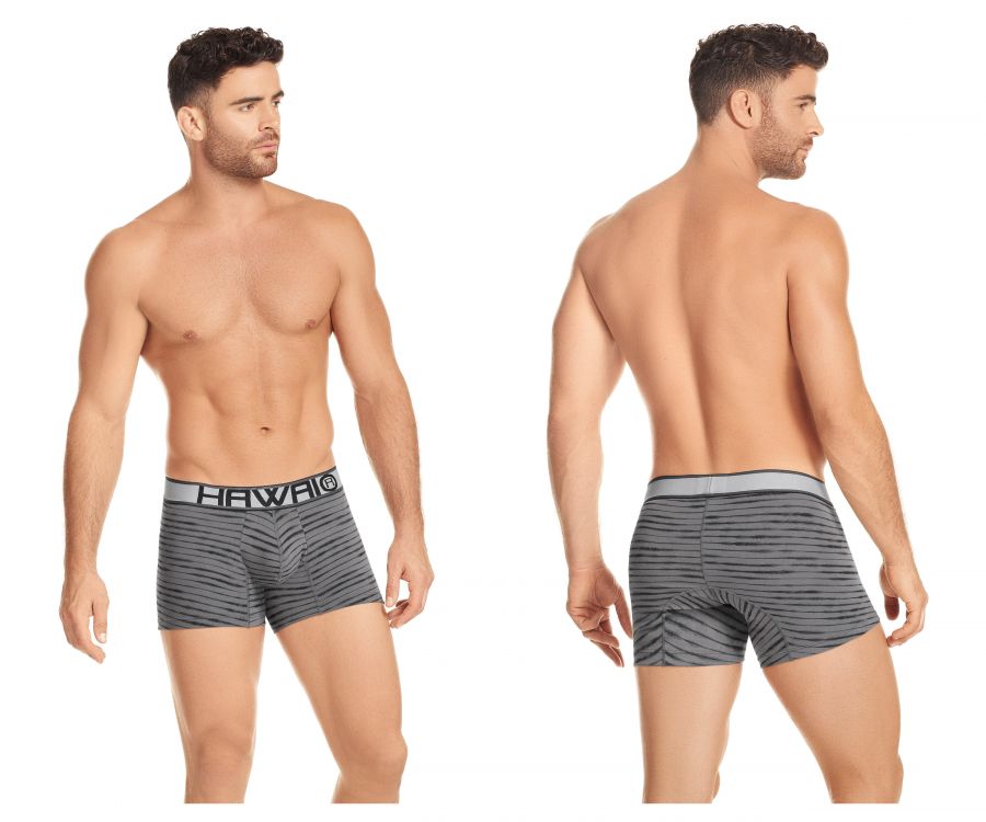 HAWAI 41972 Boxershorts Farbe Grau