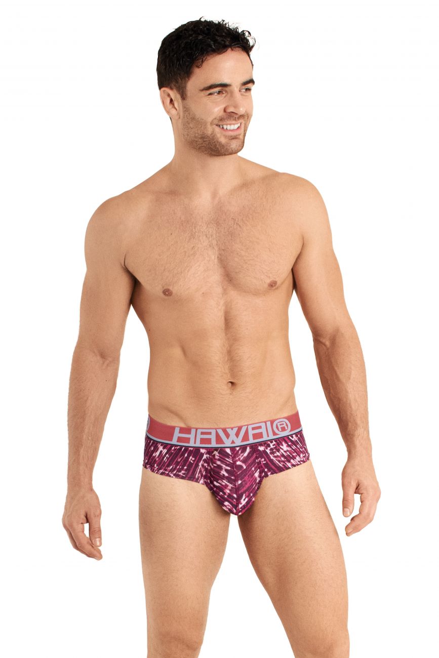 HAWAI 42023 Briefs Color Terracota