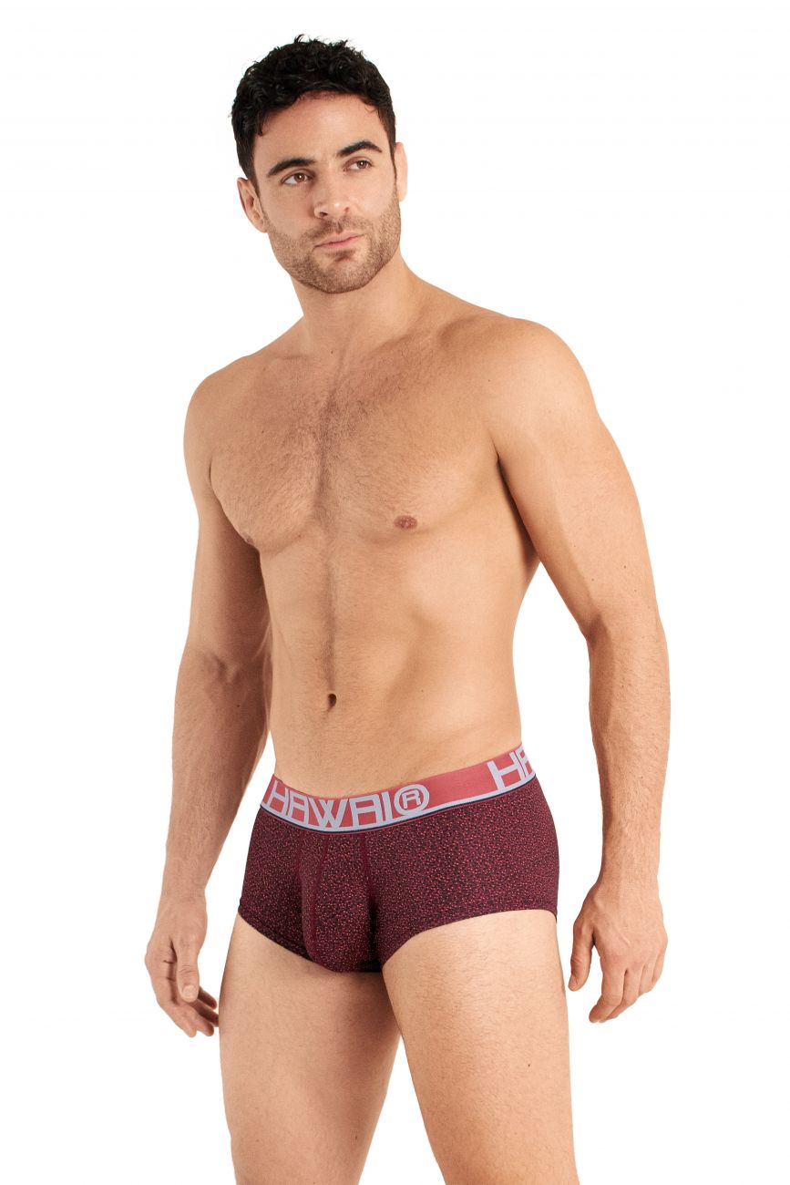 HAWAI 42024 Briefs Color Terracota