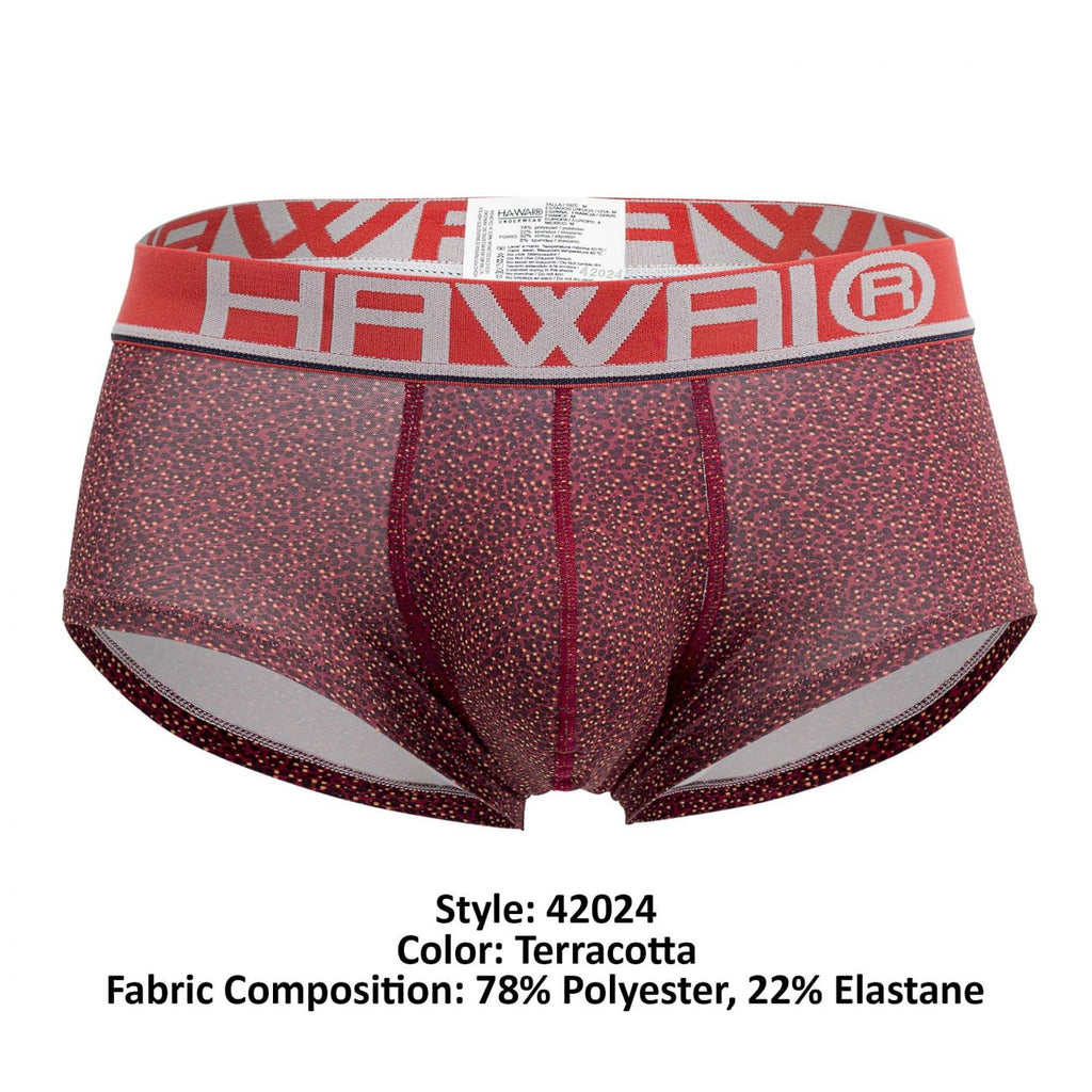 HAWAI 42024 Briefs Color Terracota