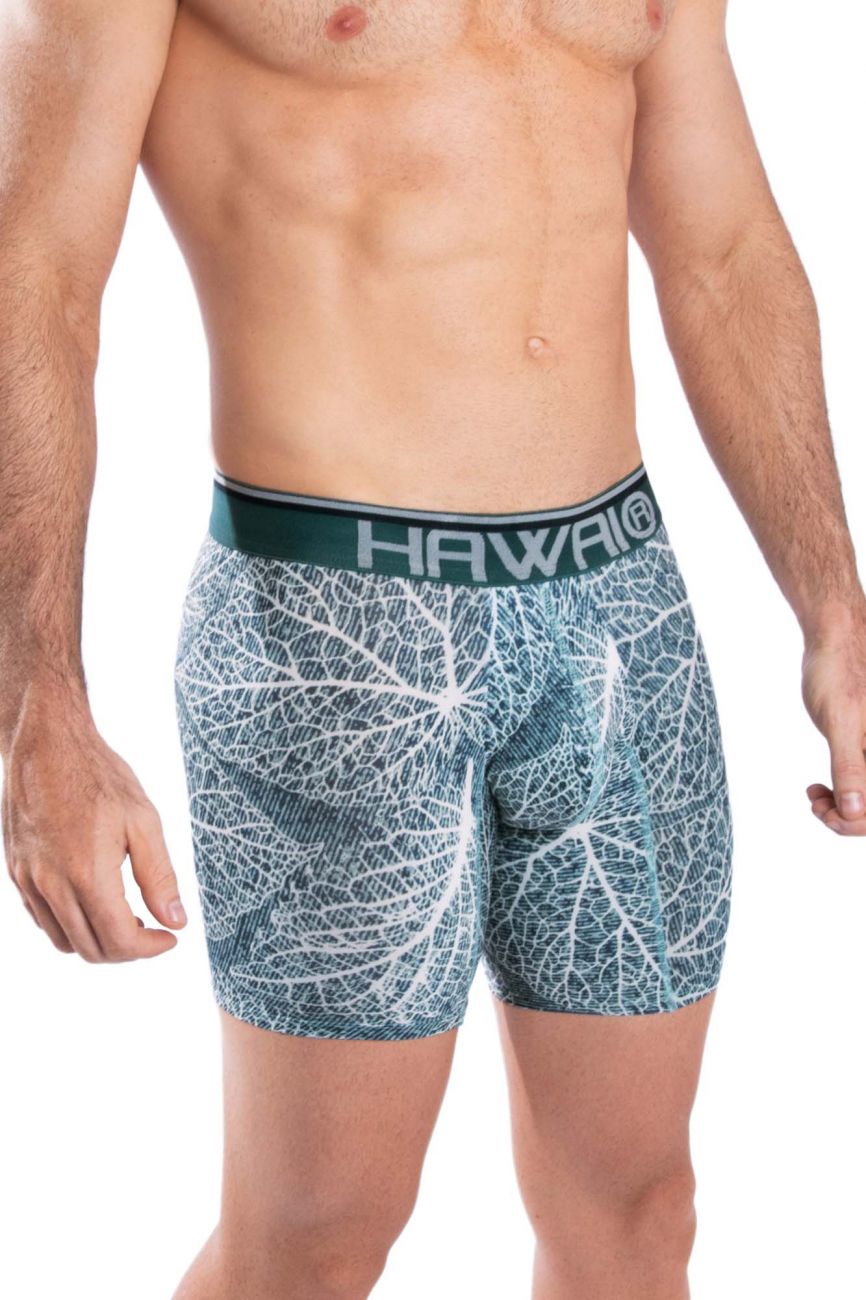 HAWAI 42104 Bedruckte Boxershorts Farbe Grün