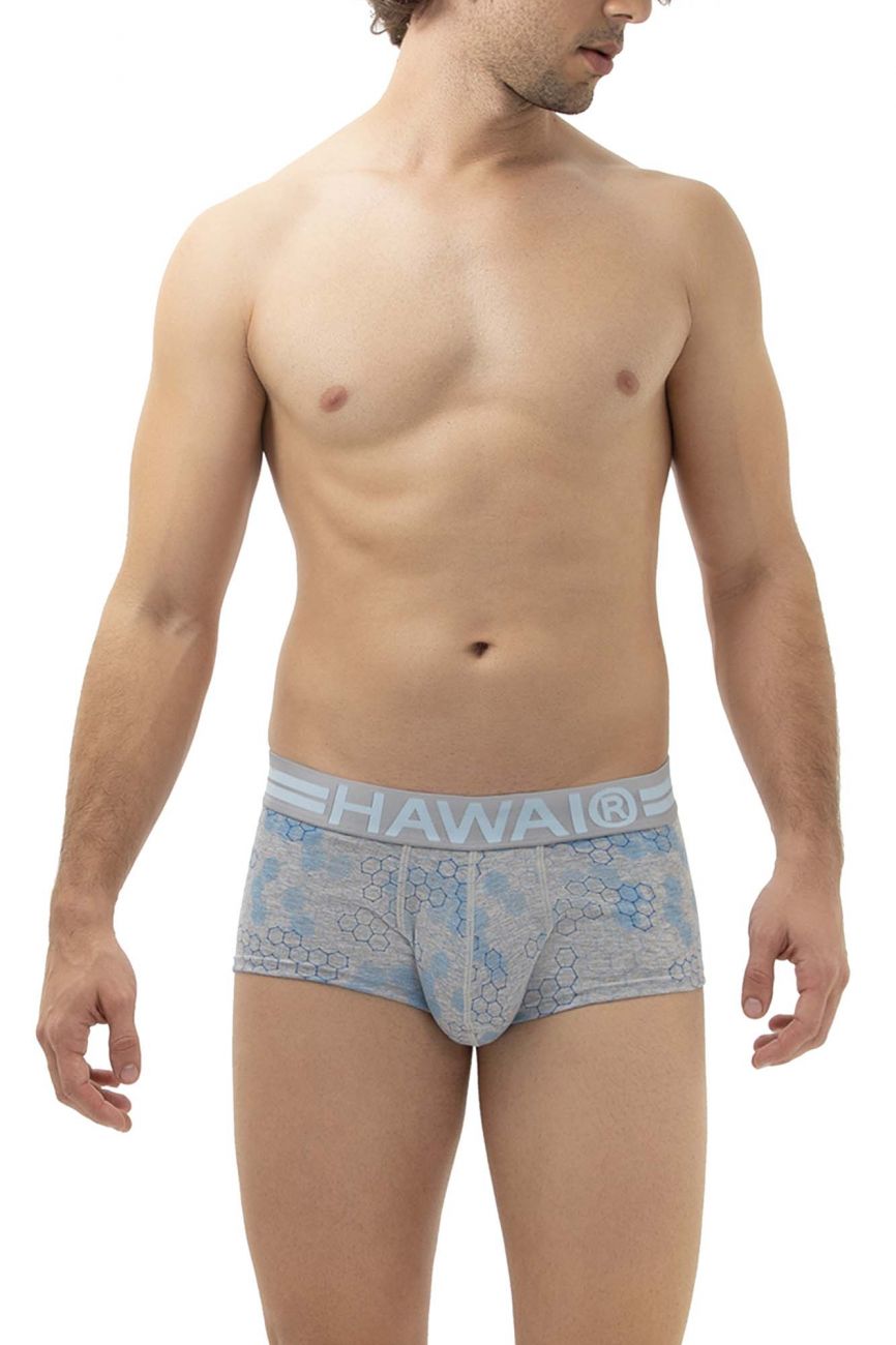 HAWAI 42231 Baumwoll-Badehose Farbe Grau