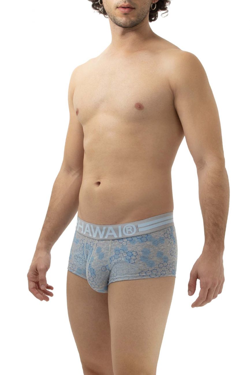 HAWAI 42231 Baumwoll-Badehose Farbe Grau