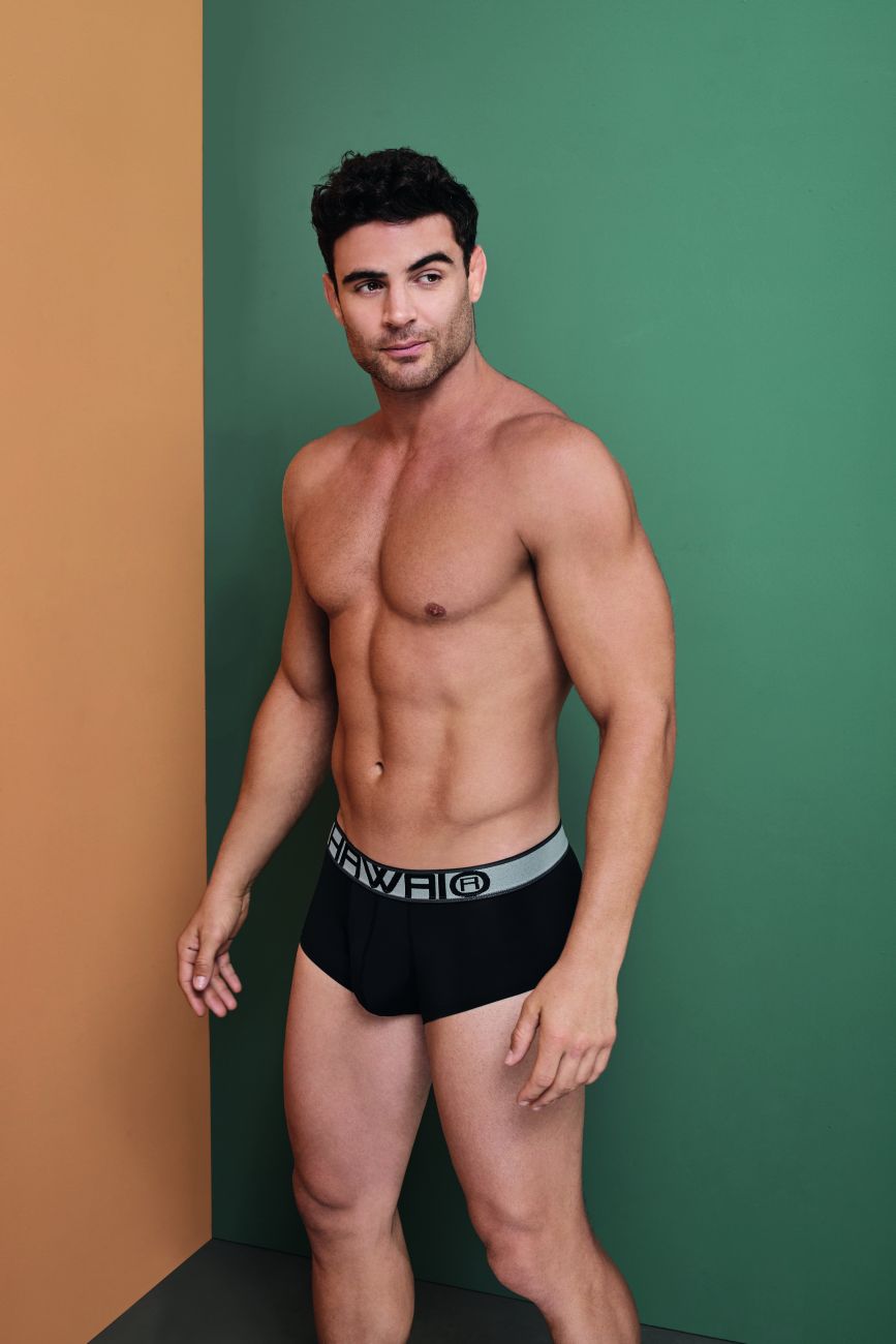 HAWAI 41961 Briefs Color Negro