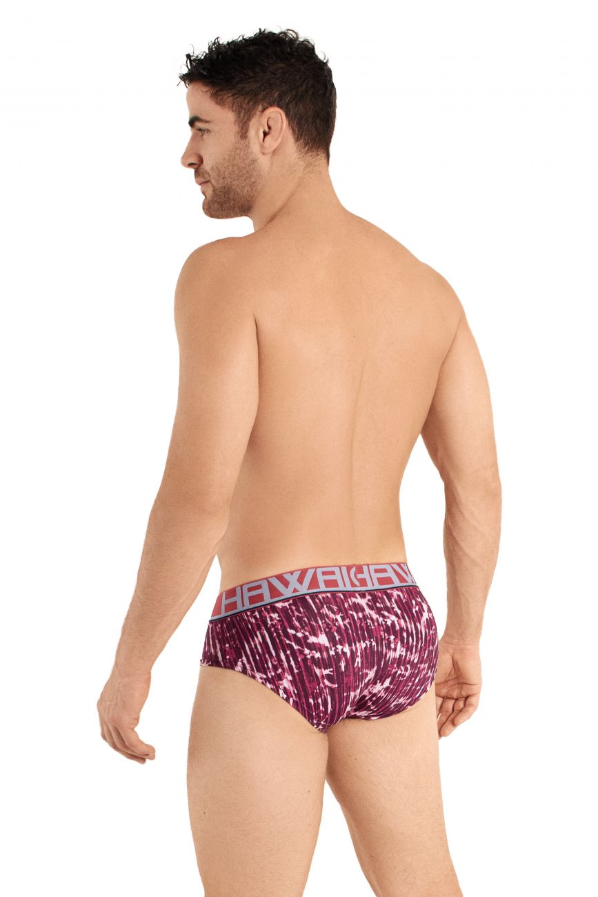 HAWAI 42023 Briefs Color Terracota