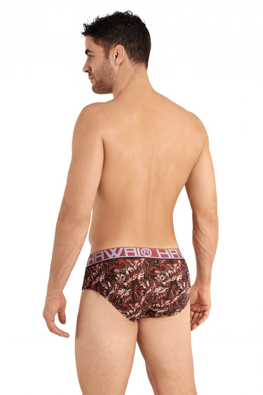 HAWAI 42026 Briefs Color Terracota