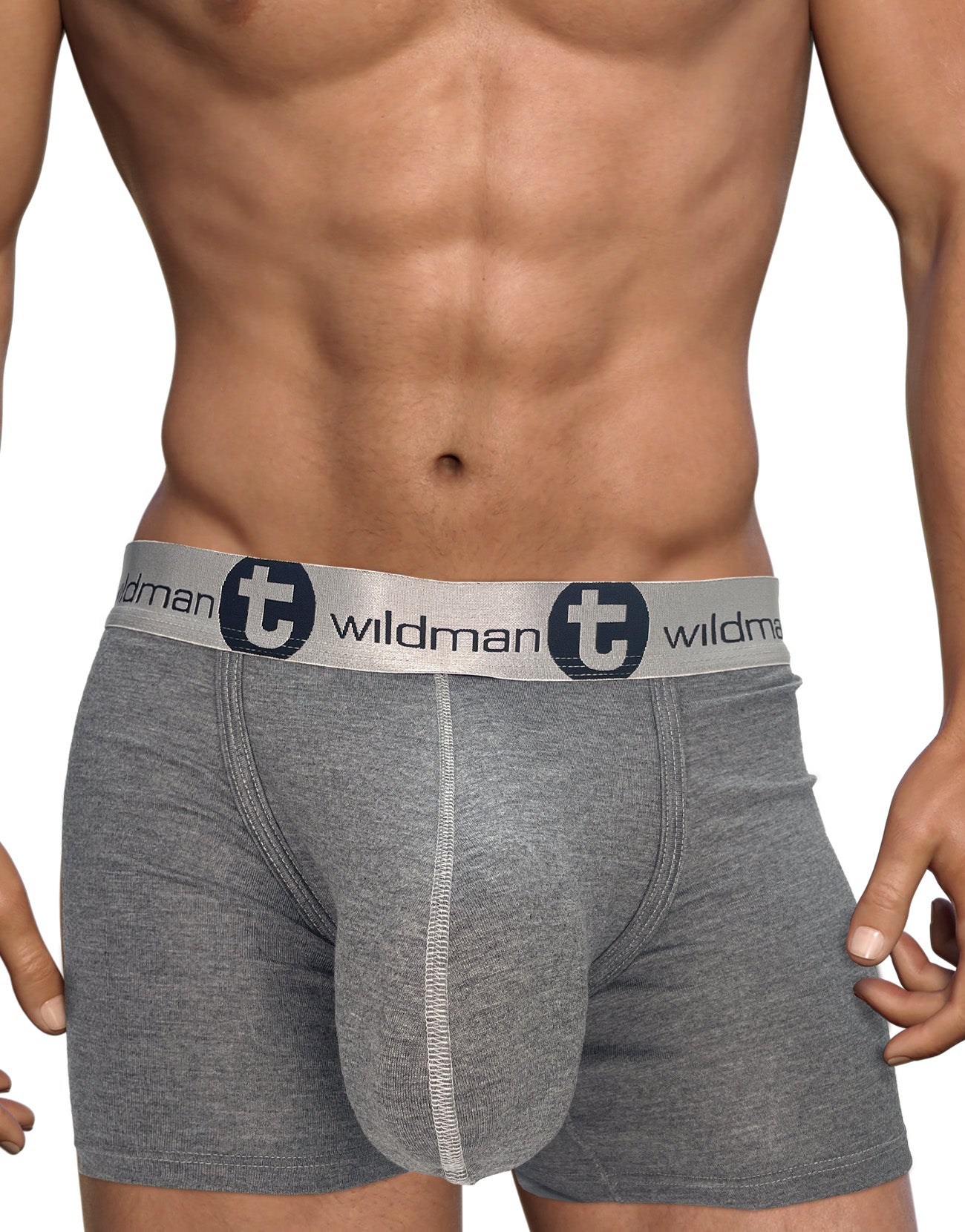 WildmanT Modal Monster Cock 5" Inseam Boxer Brief Gray - DealByEthan.gay