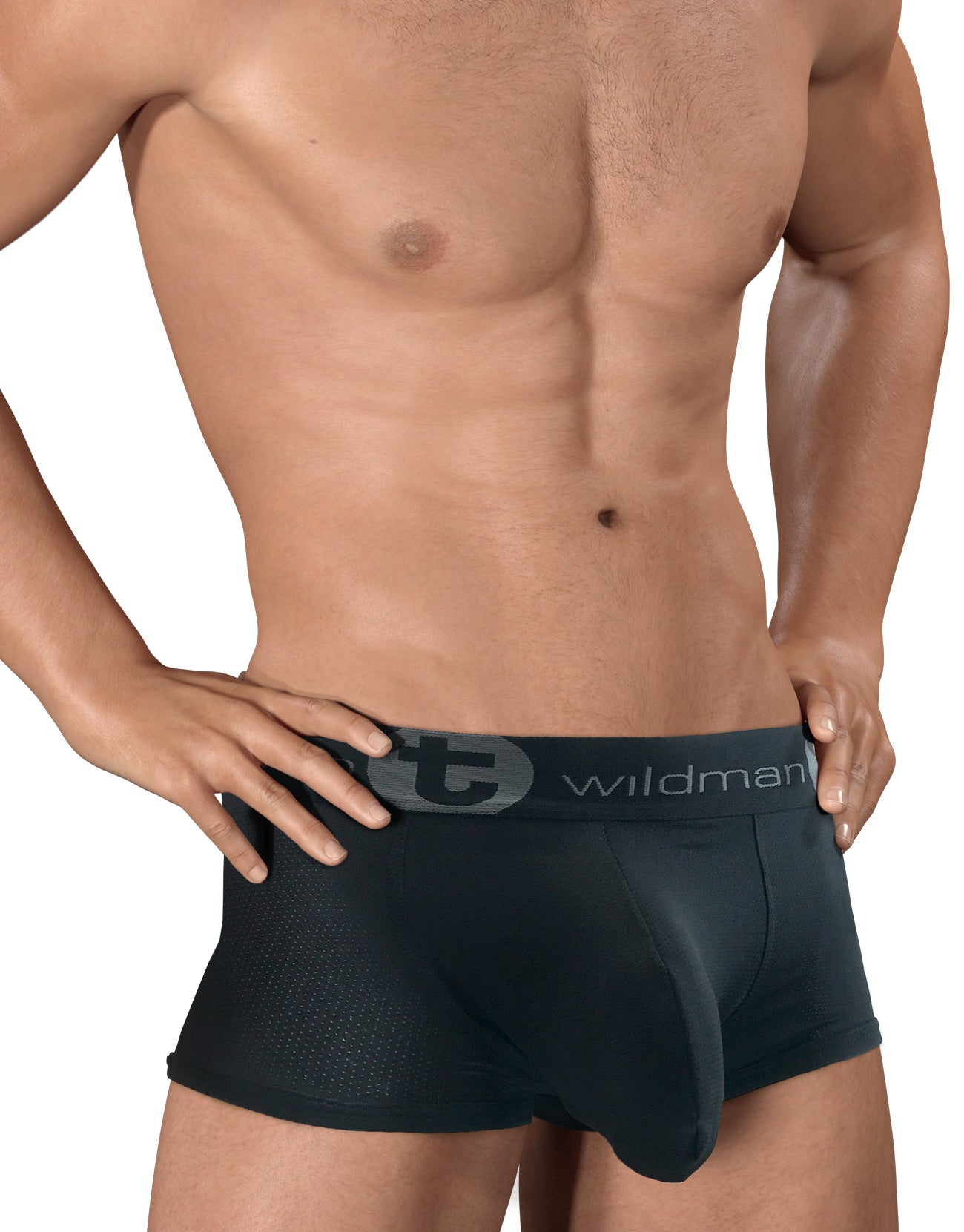 WildmanT Big Boy Mesh Pouch Boxer Brief Black - DealByEthan.gay