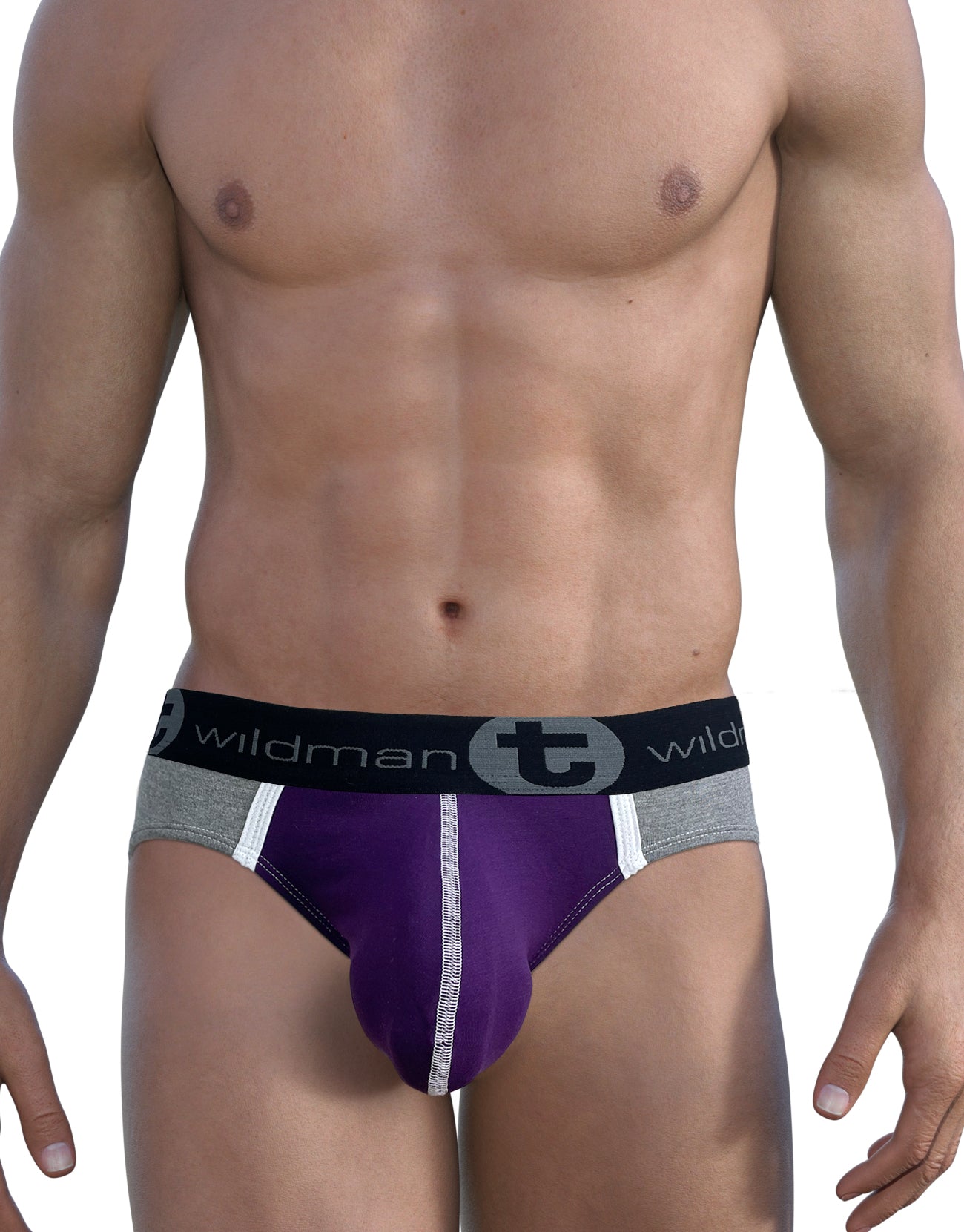 WildmanT Modal Big Boy Pouch Brief Purple - DealByEthan.gay