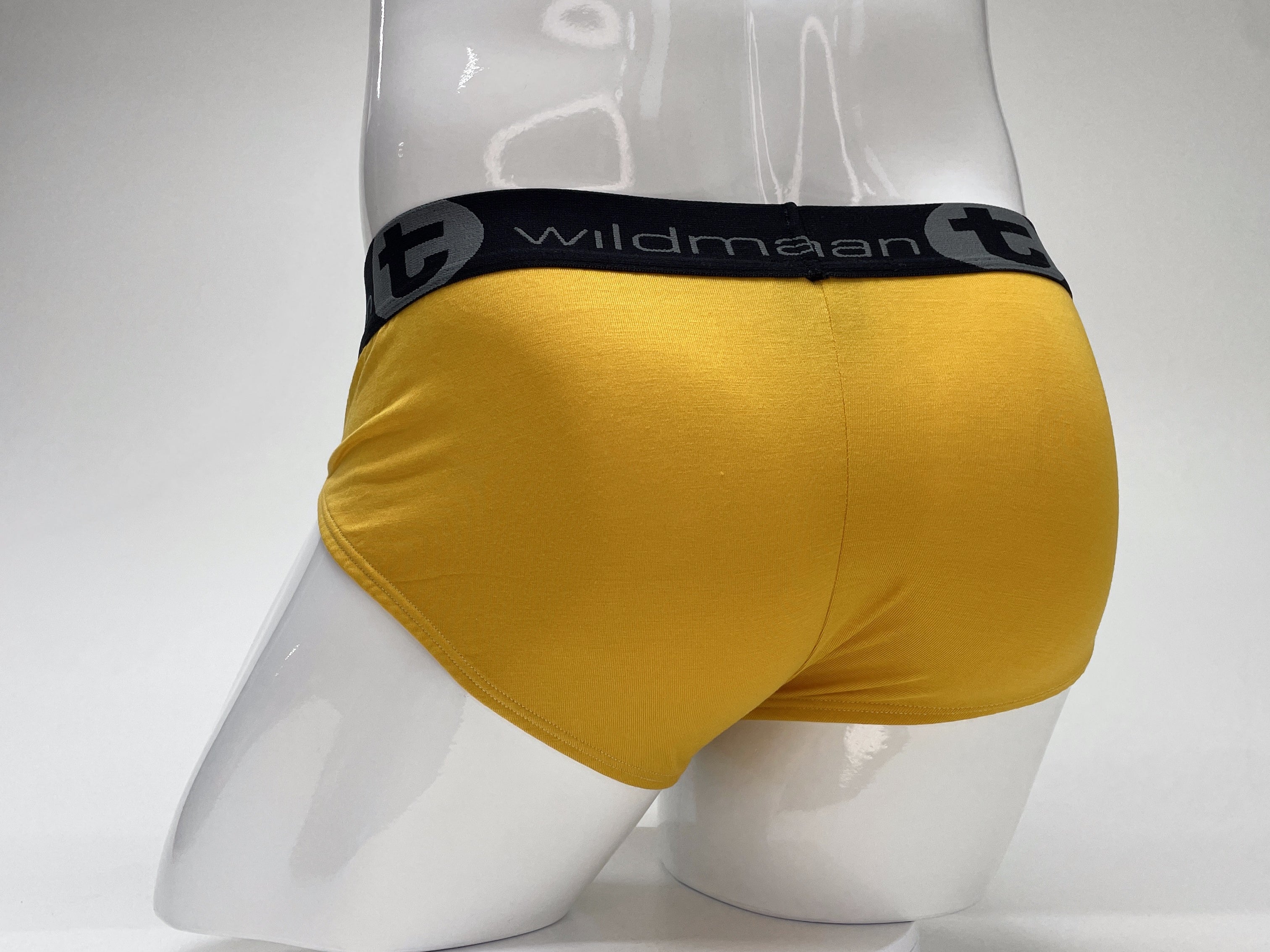 WildmanT Modal Big Boy Pouch Brief Gold - DealByEthan.gay