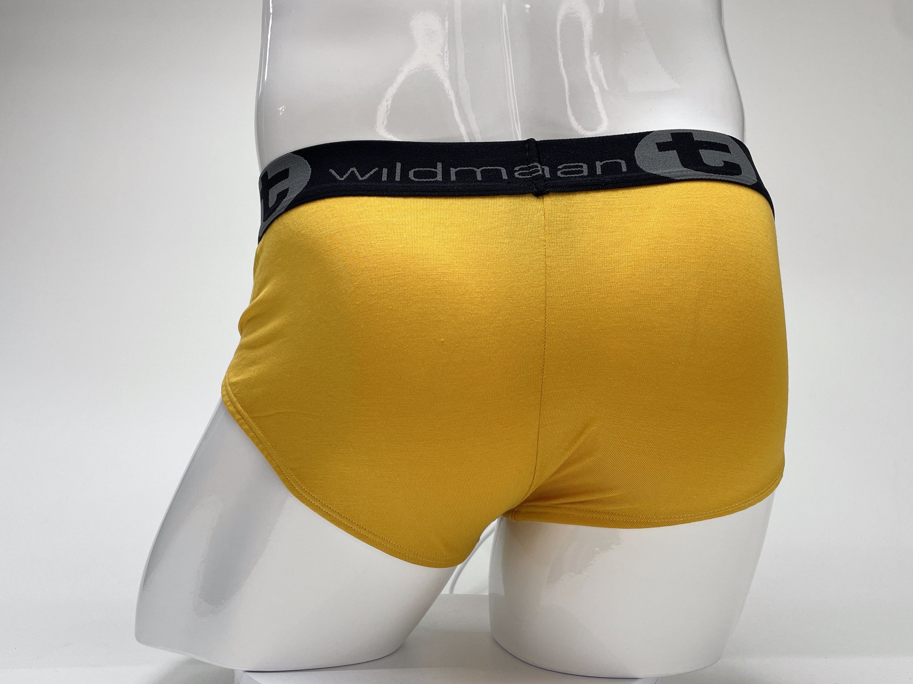 WildmanT Modal Big Boy Pouch Brief Gold - DealByEthan.gay