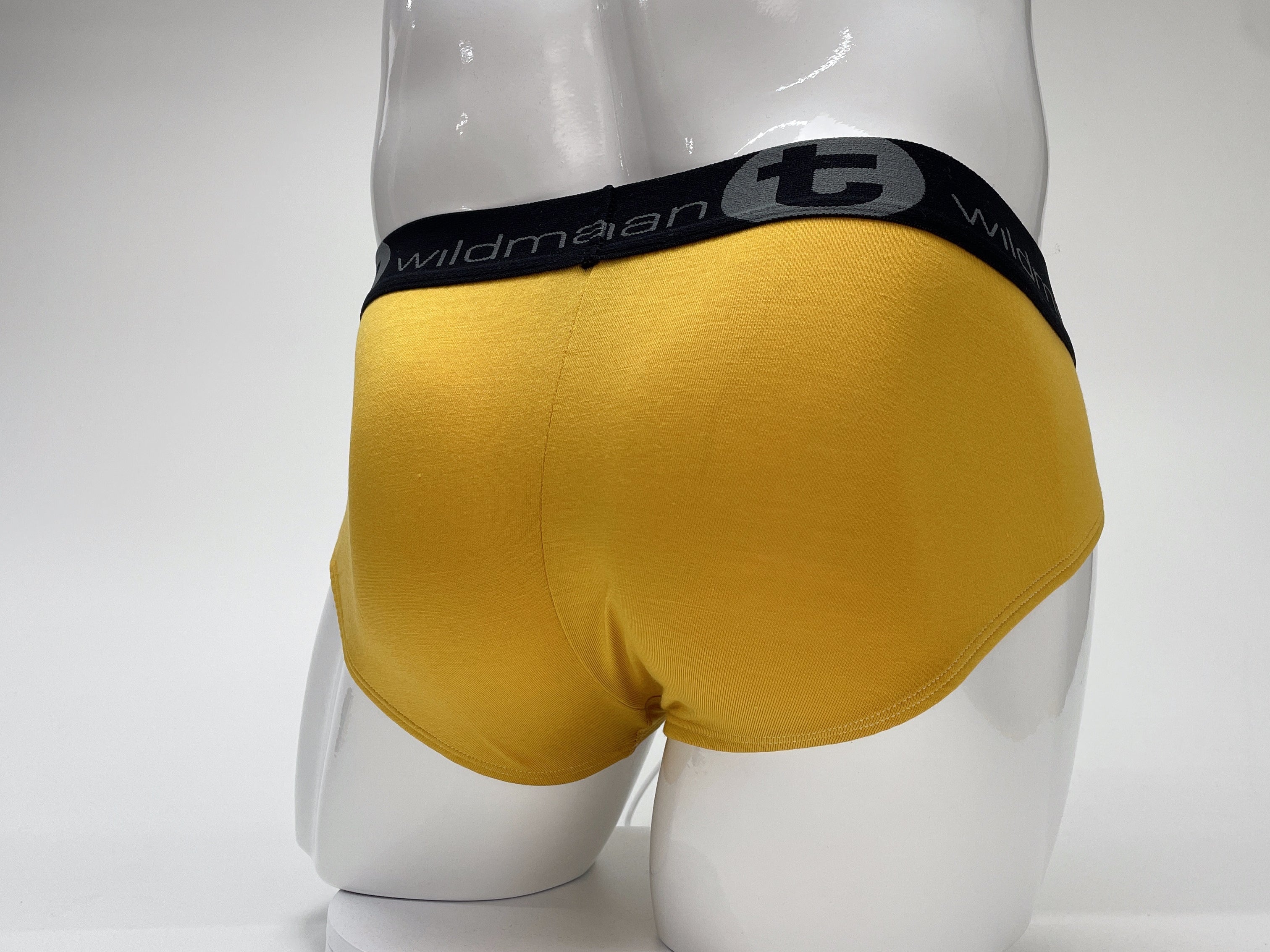 WildmanT Modal Big Boy Pouch Brief Gold - DealByEthan.gay