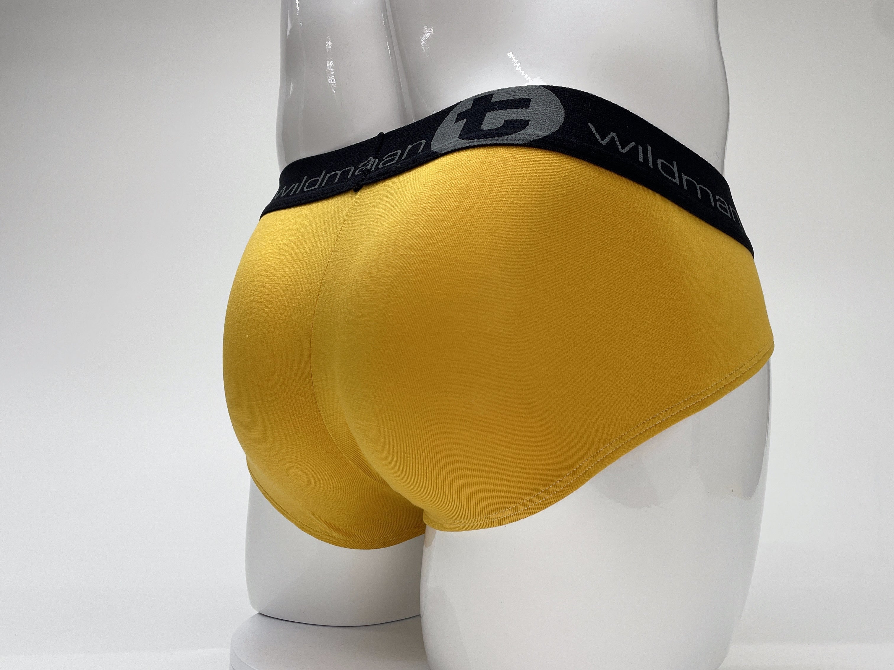 WildmanT Modal Big Boy Pouch Brief Gold - DealByEthan.gay