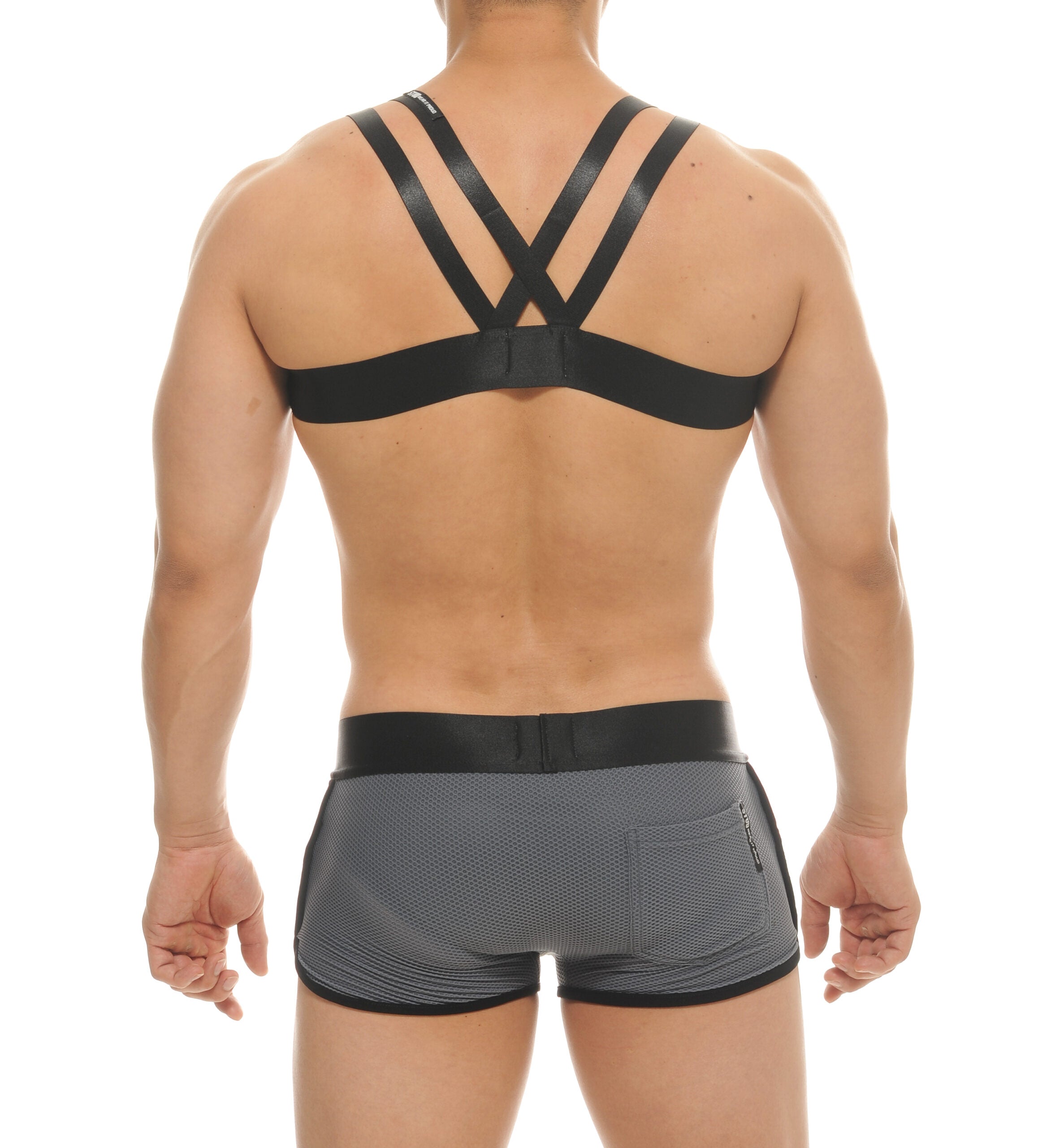 MUSCAT HARNESS - DealByEthan.gay loves STUD Wear It Proud