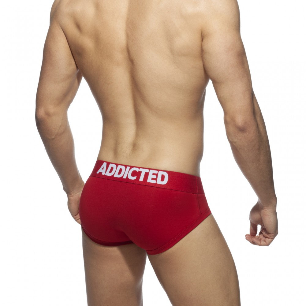 MY BASIC BRIEF - DealByEthan.gay loves Addicted