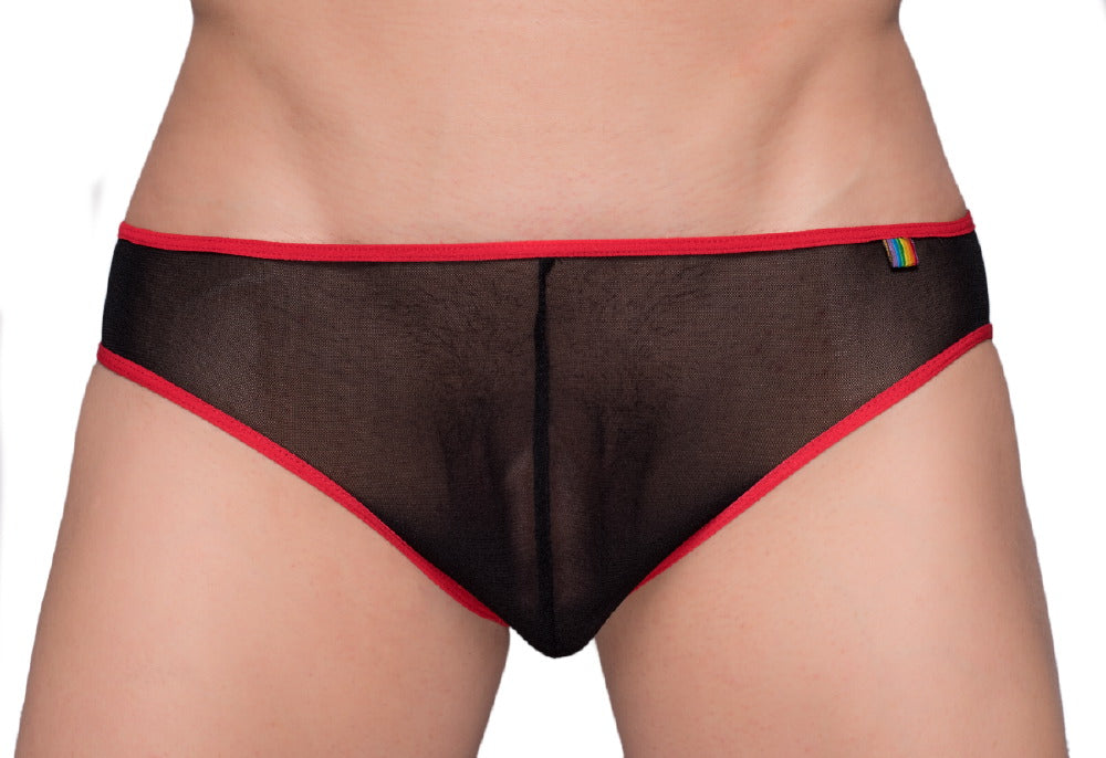 Pride Mesh-Bikini mit Gossammer-Muster