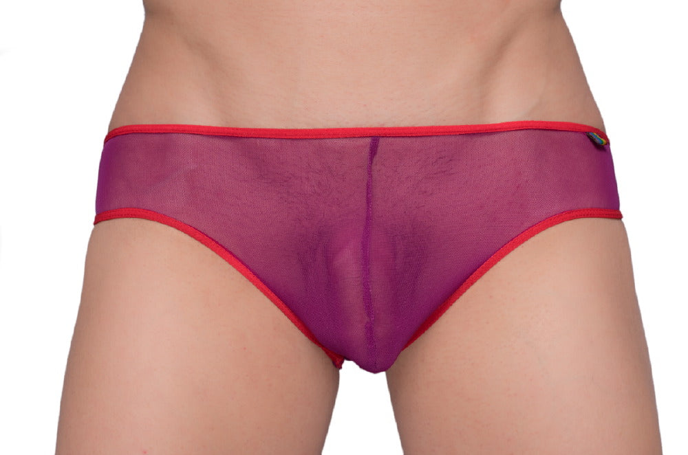 Pride Mesh-Bikini mit Gossammer-Muster