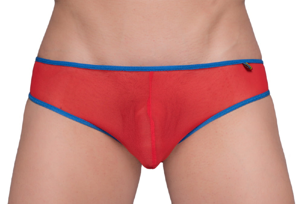 Pride Mesh-Bikini mit Gossammer-Muster