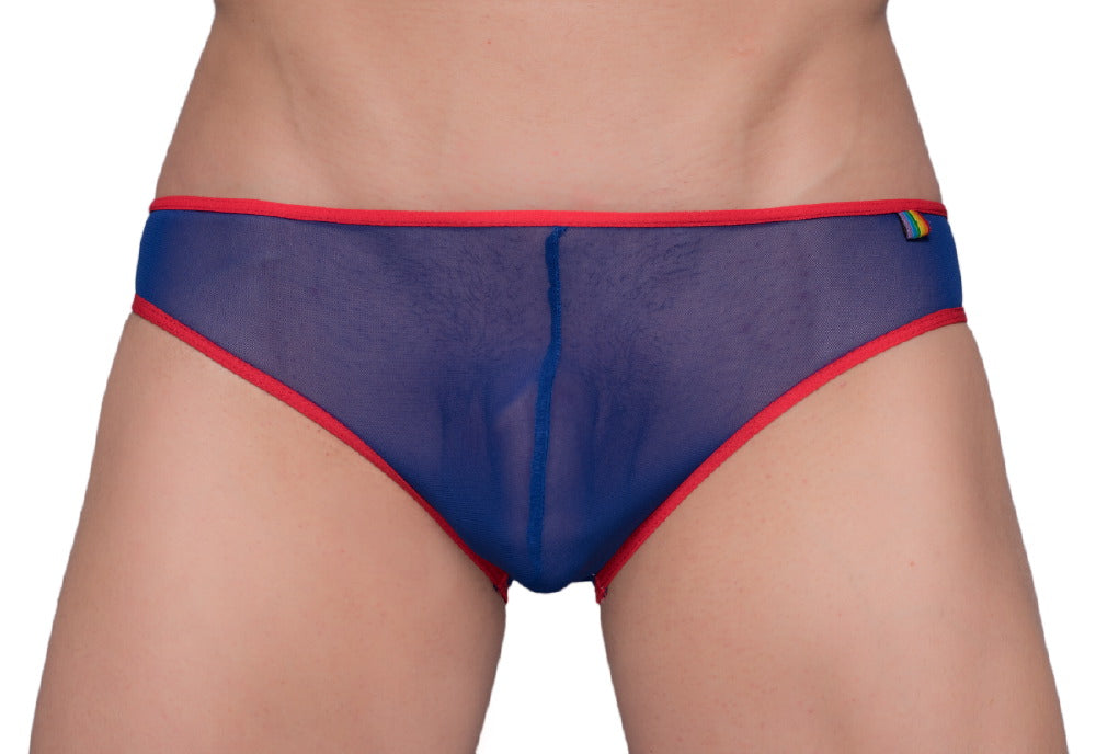 Pride Mesh-Bikini mit Gossammer-Muster