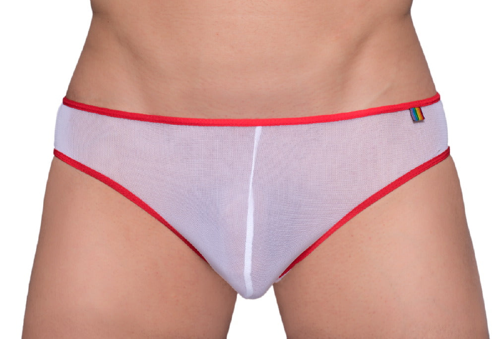 Pride Mesh-Bikini mit Gossammer-Muster