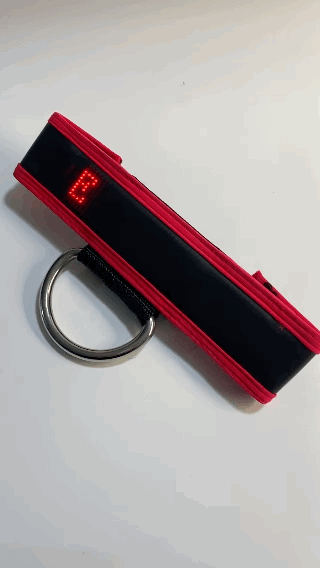 MARQUEE CENTER STRAP - RED - DealByEthan.gay
