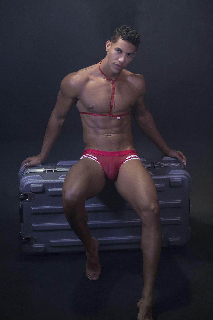 Pikante PIK 0495 Braguita con arnés sexy color rojo