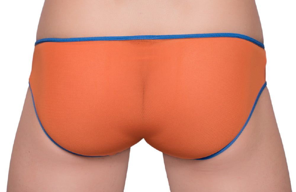 Pride Mesh Gossammer Bikini - DealByEthan.gay loves Pride