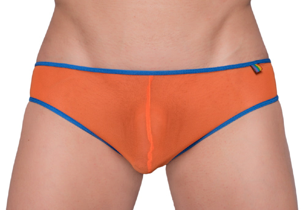 Pride Mesh Gossammer Bikini - DealByEthan.gay loves Pride