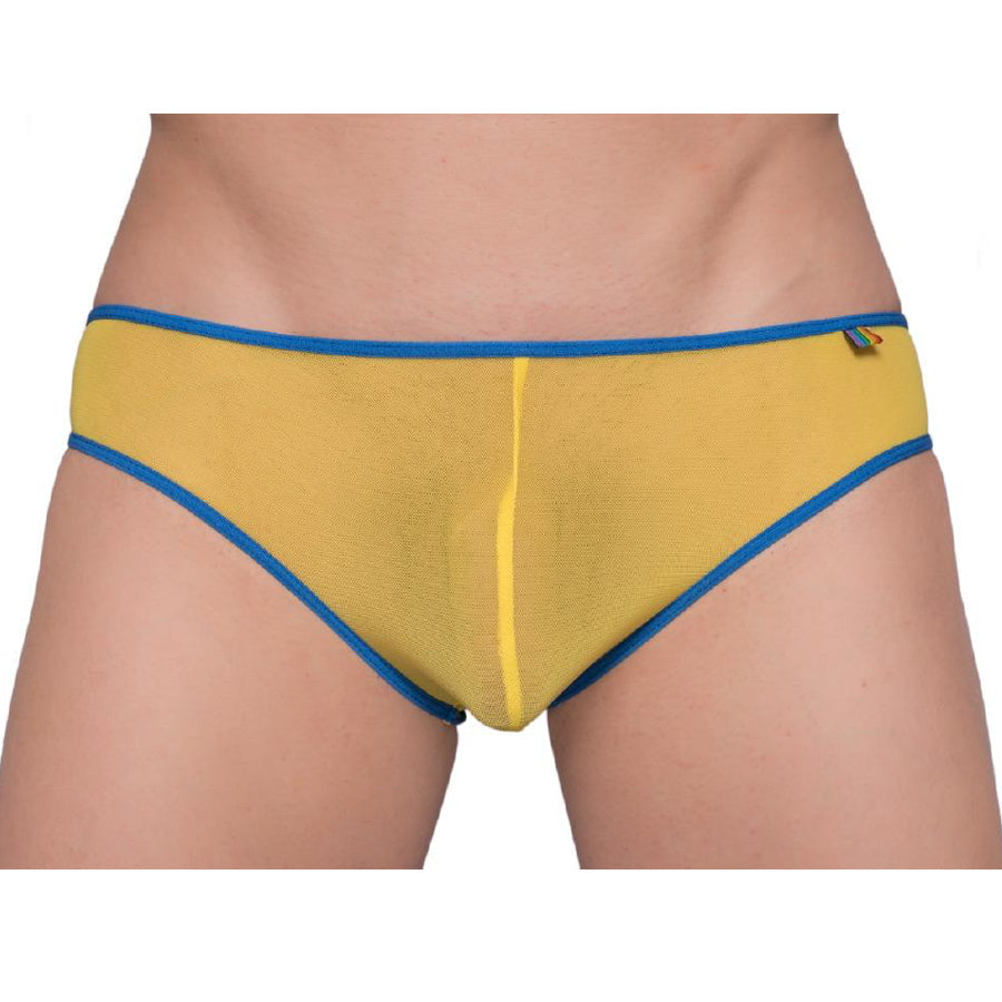 Pride Mesh Gossammer Bikini - DealByEthan.gay loves Pride